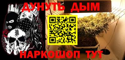 гидра Ачхой-Мартан