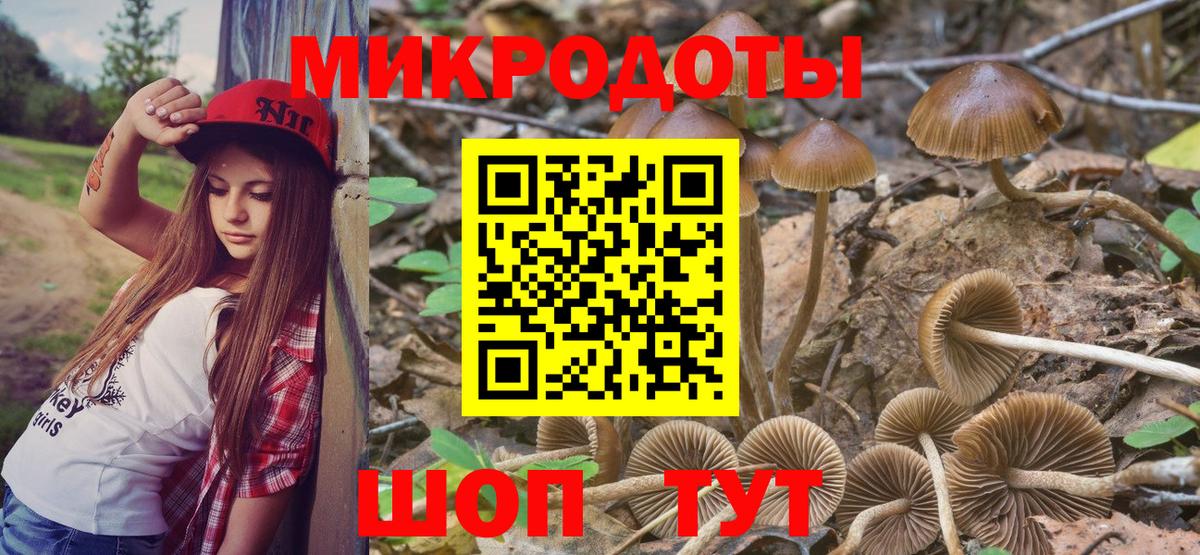 Галлюциногенные грибы мухоморы Белореченск