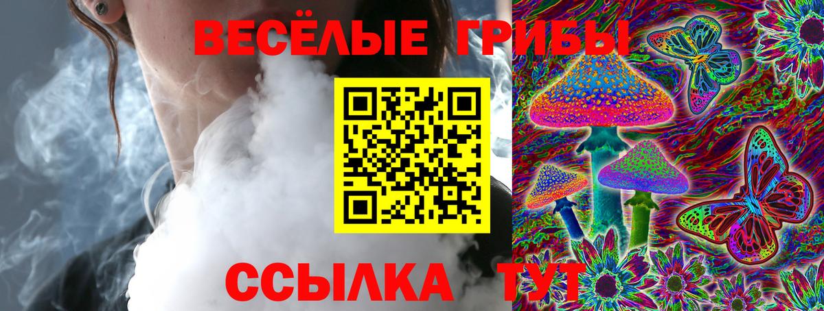 Белореченск  Галлюциногенные грибы Psilocybe  Вход с VPN 
